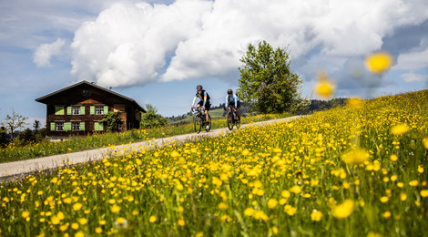 Rennrad fahren in Krumbach (c) Merlijn Spenkerlink - Bregenzerwald Tourismus (1)